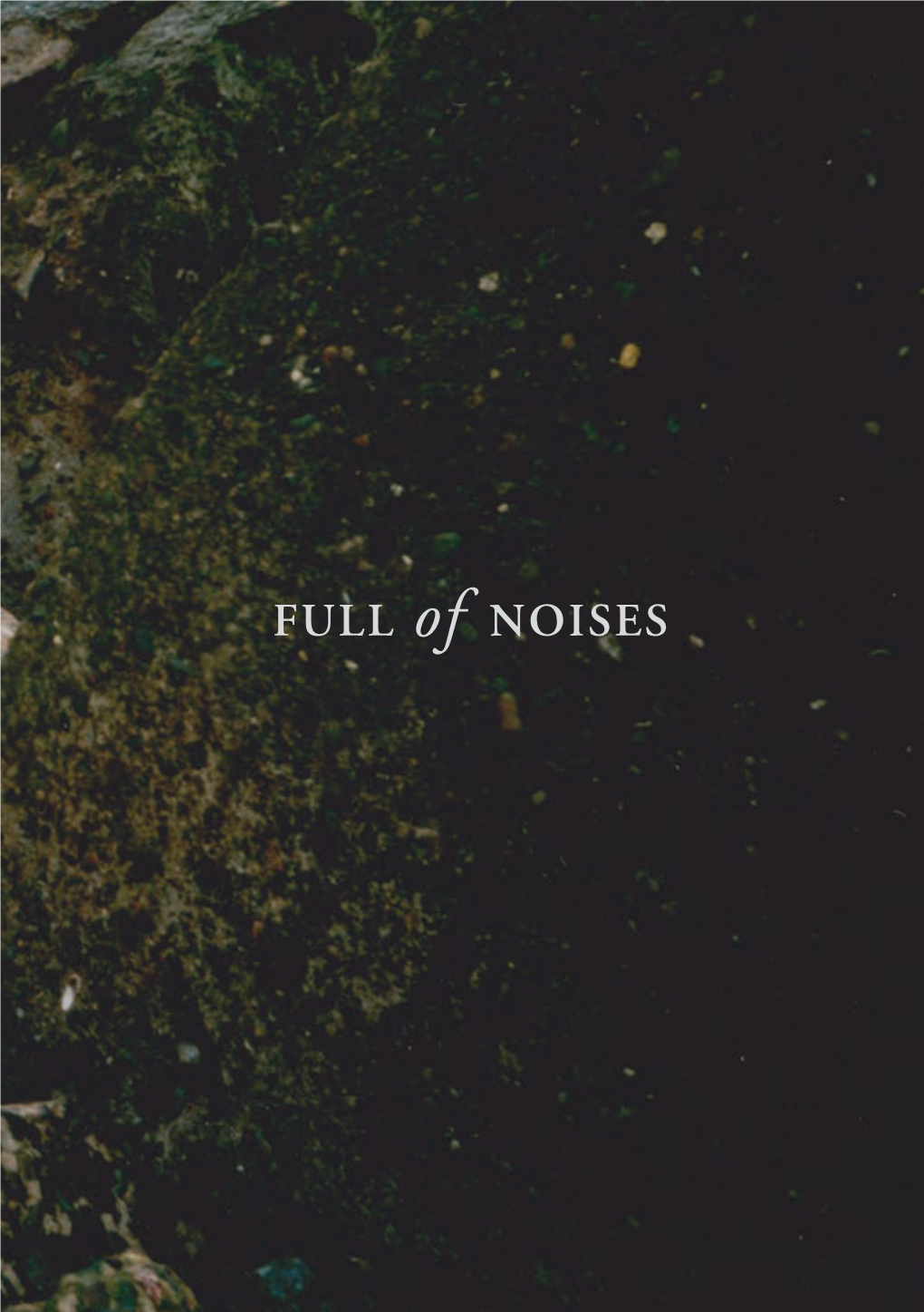 Noises FULL of NOISES 2015 a Weekend of New Music and Sound Art