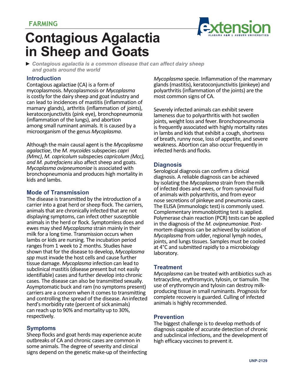 Contagious Agalactia in Sheep and Goats