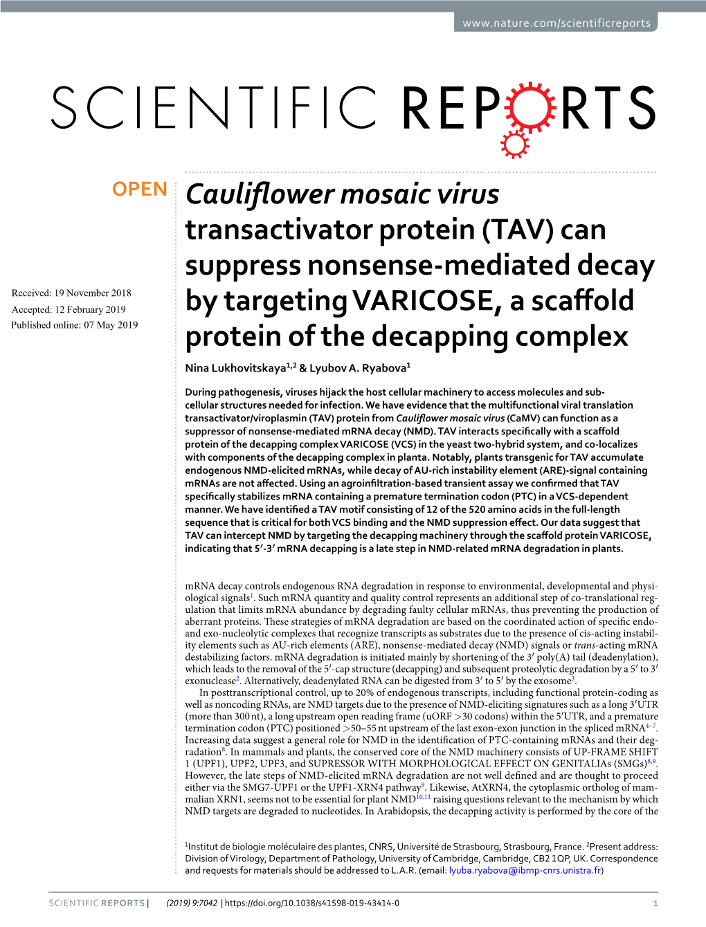 Cauliflower Mosaic Virus Transactivator Protein