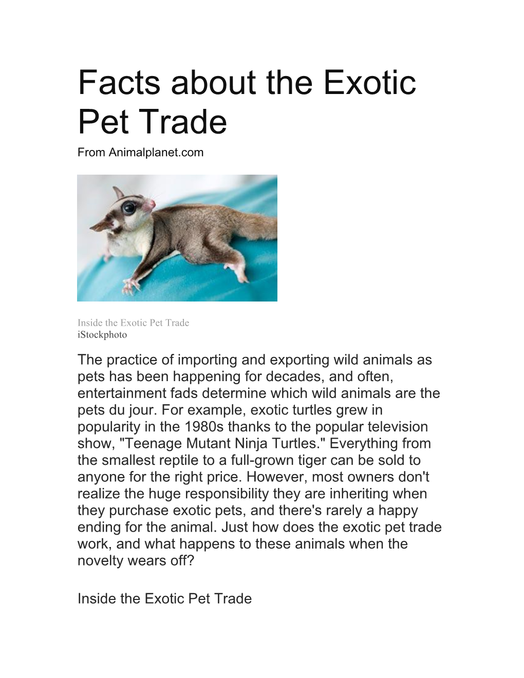 Facts About the Exotic Pet Trade