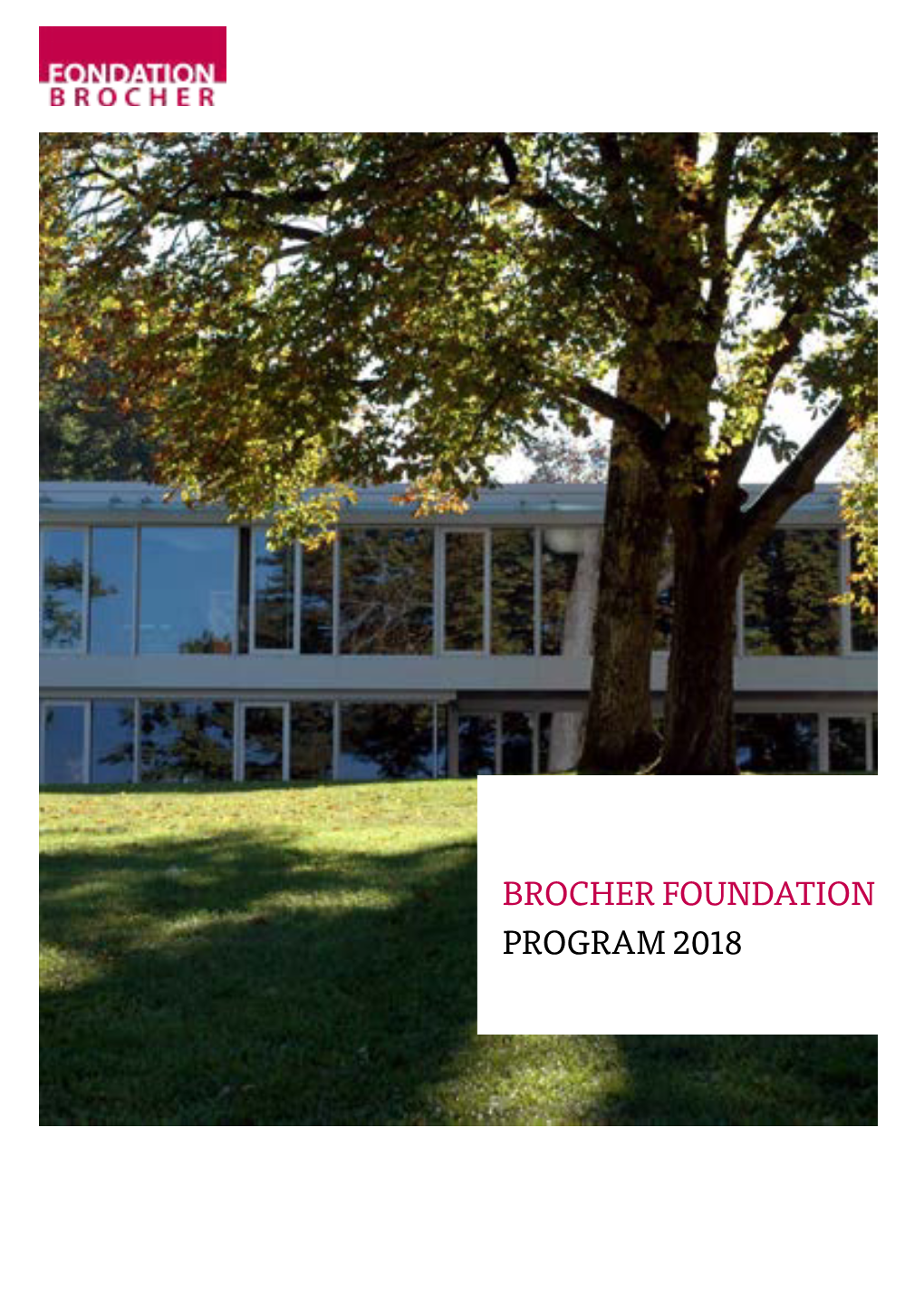 Brocher Foundation Program 2018 Summary