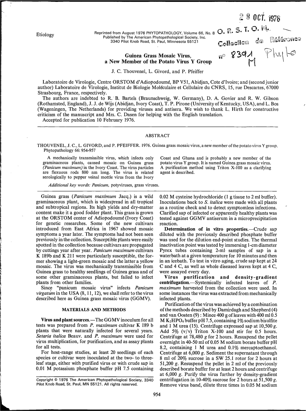 Guinea Grass Mosaic Virus, a New Member of the Potato Virus Y Group J