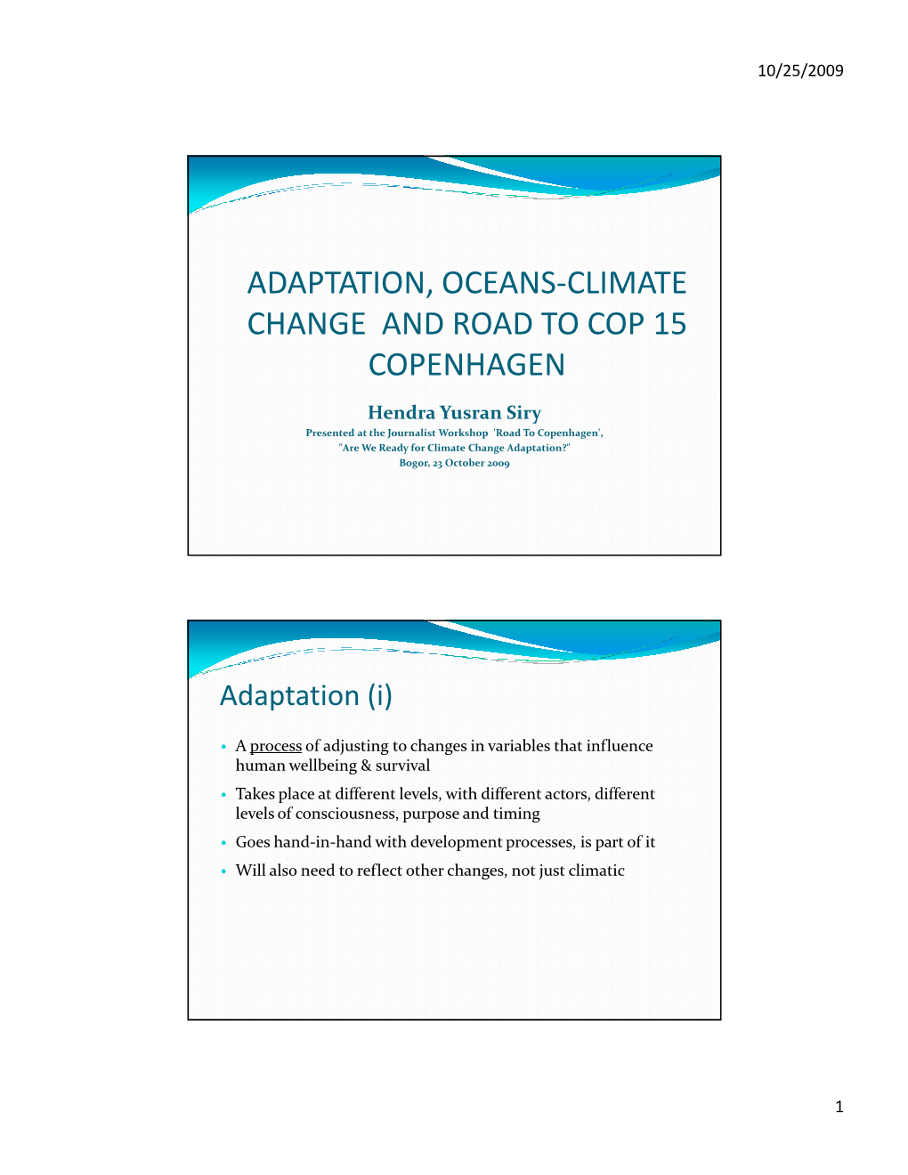 Adaptation, Oceans-Climate Change and Road to Cop 15 Copenhagen