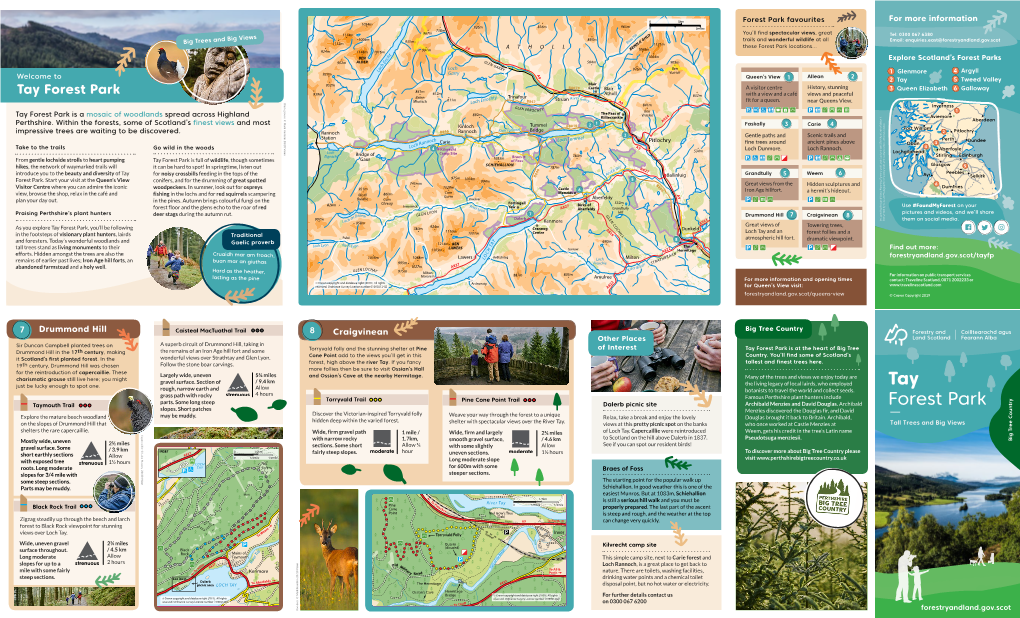 Tay Forest Park Is a Mosaic of Woodlands Spread Across Highland Aviemore Aberdeen Perthshire