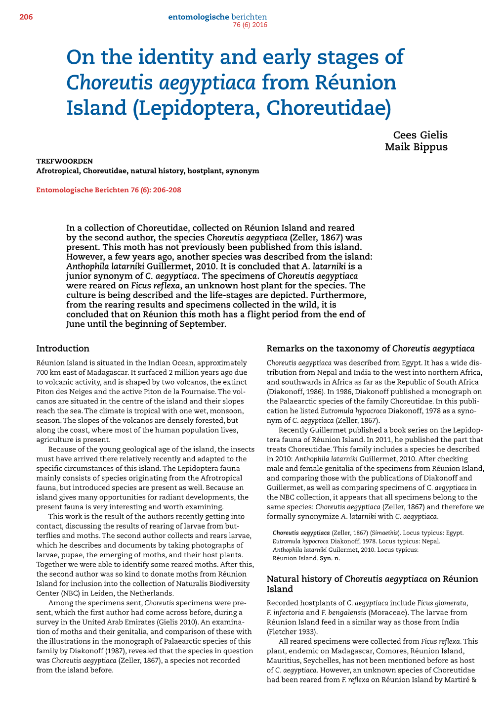 On the Identity and Early Stages of Choreutis Aegyptiaca from Réunion Island (Lepidoptera, Choreutidae)