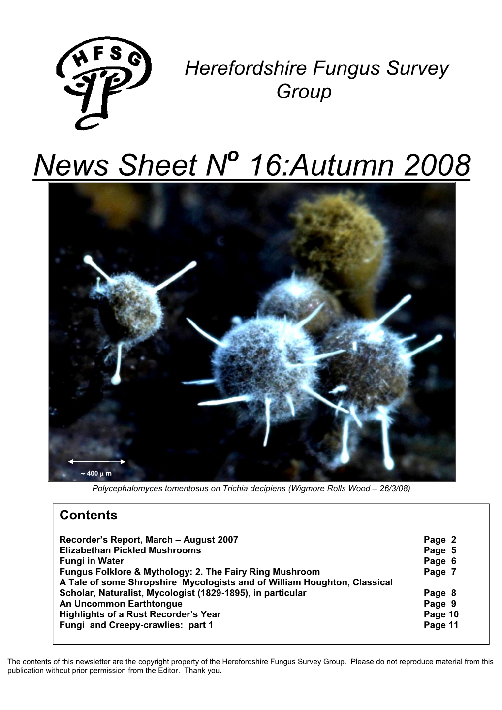 News Sheet N 16:Autumn 2008