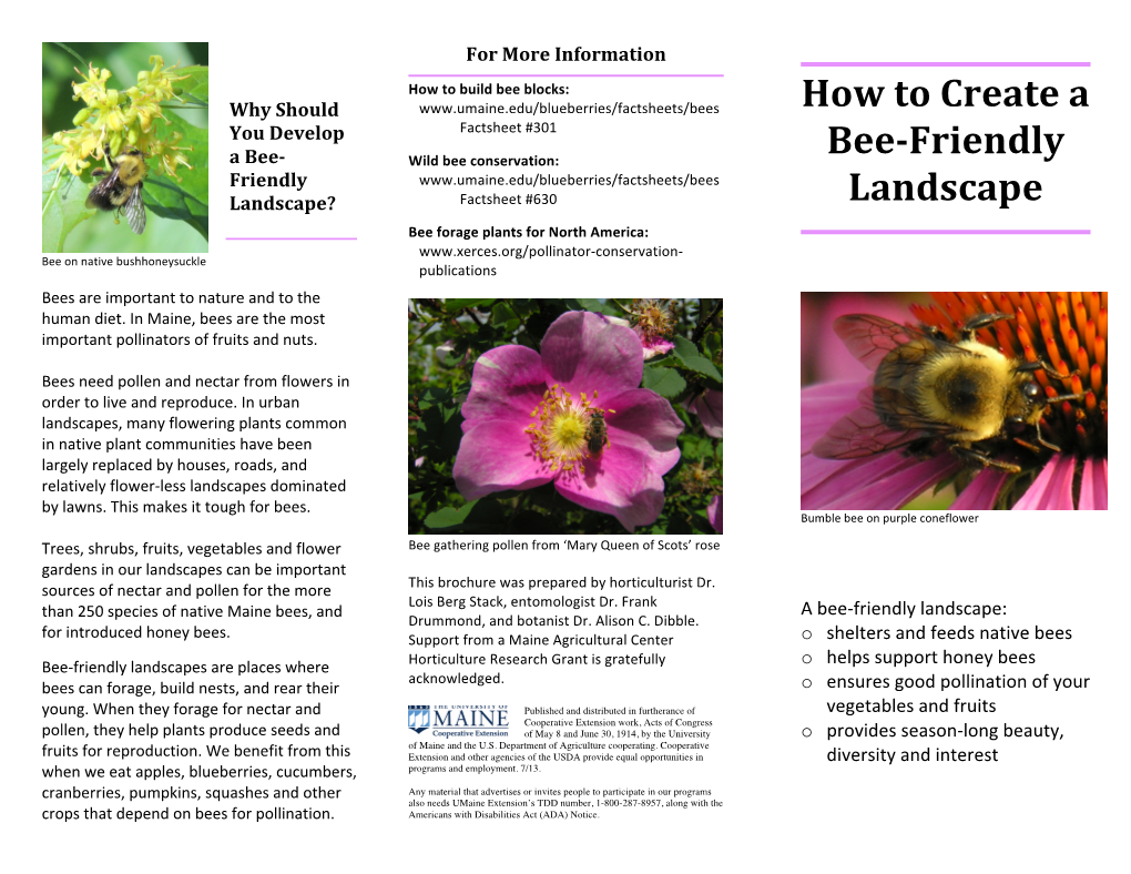 How to Create a Bee-‐Friendly Landscape