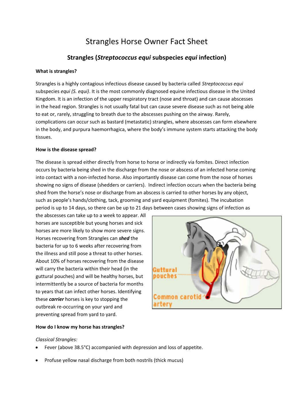 Strangles (Streptococcus Equi Subspecies Equi Infection)