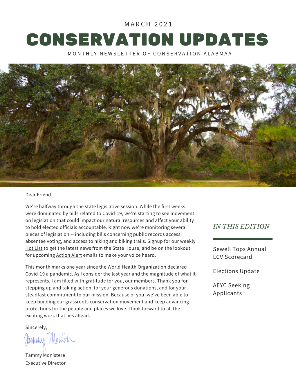 CA Monthly Newsletter