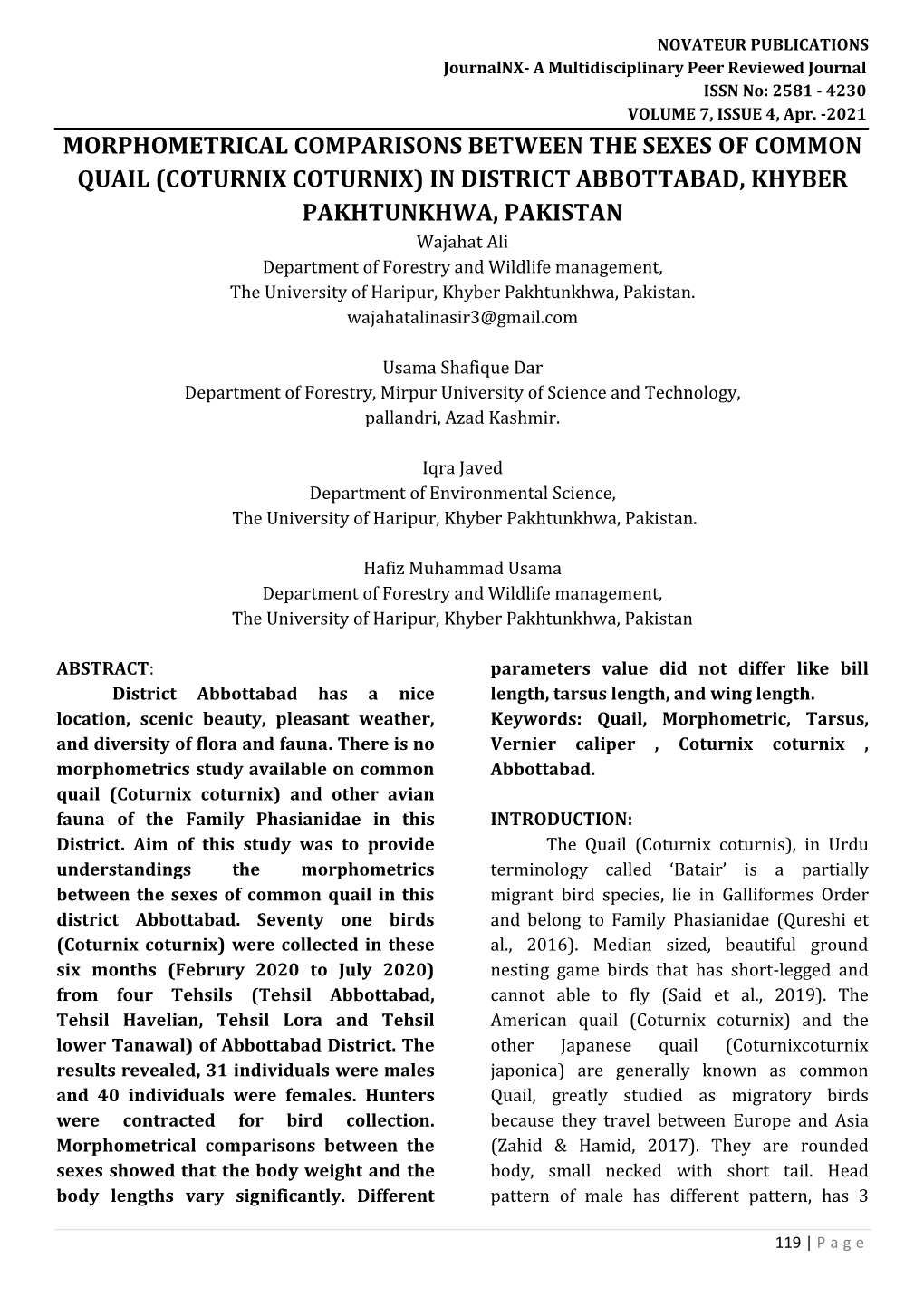 Coturnix Coturnix