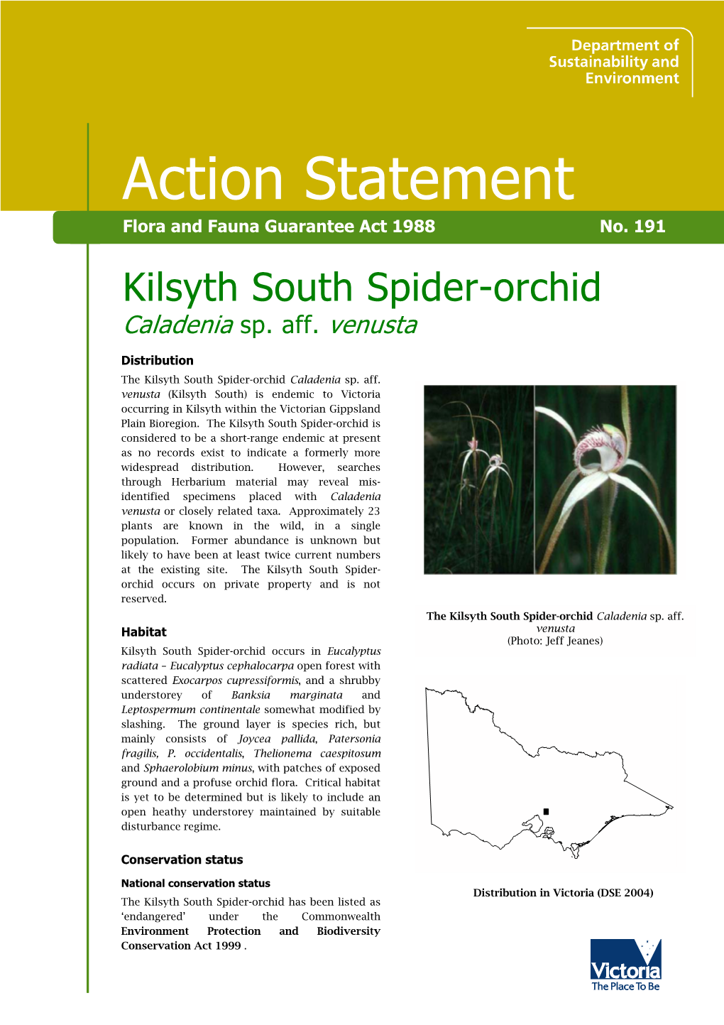 Kilsyth South Spider-Orchid Caladenia Sp