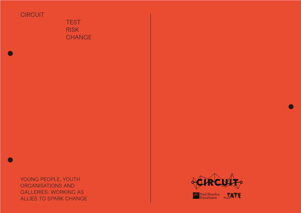 Circuit Test Risk Change