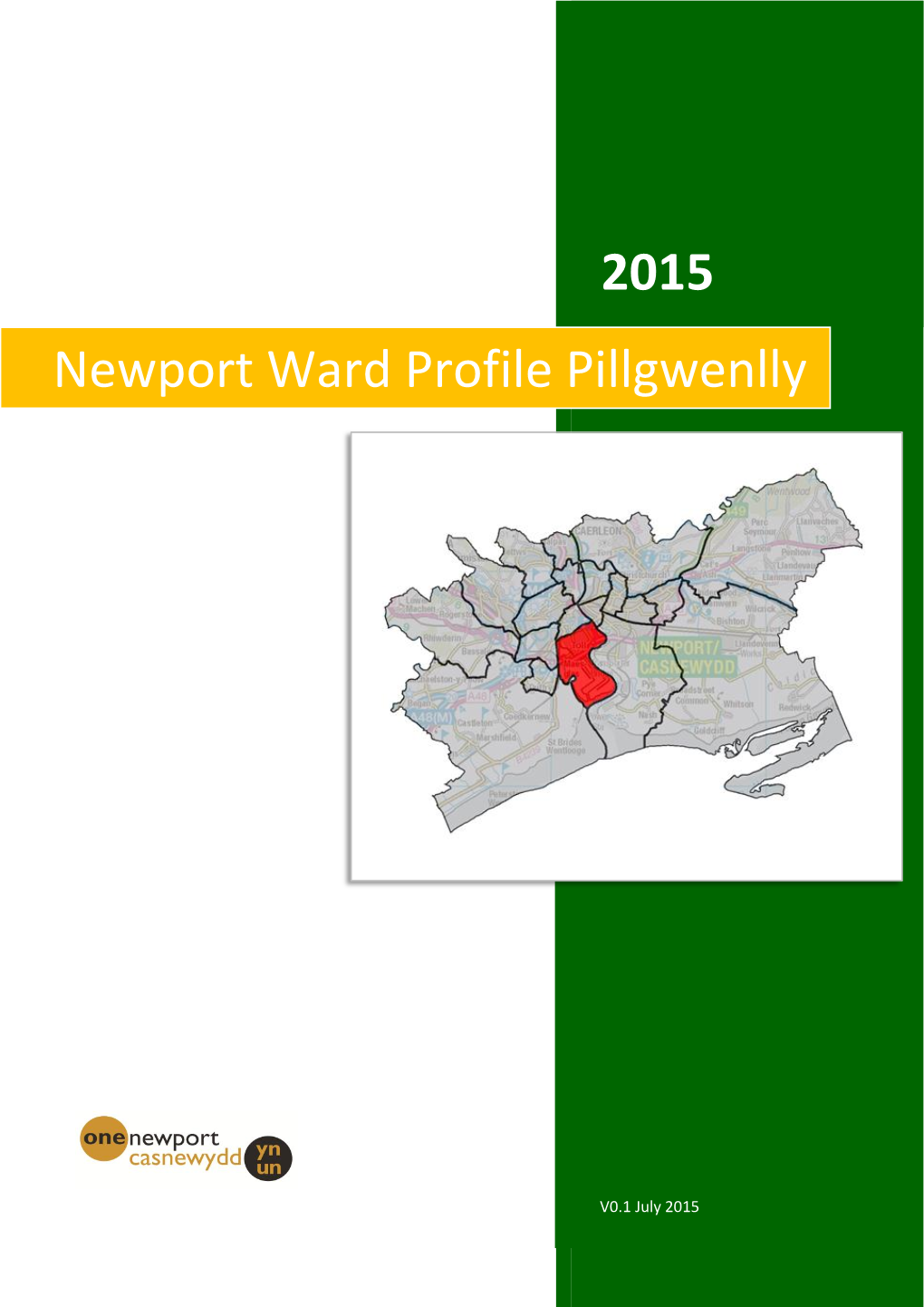 2015 Newport Ward Profile Pillgwenlly