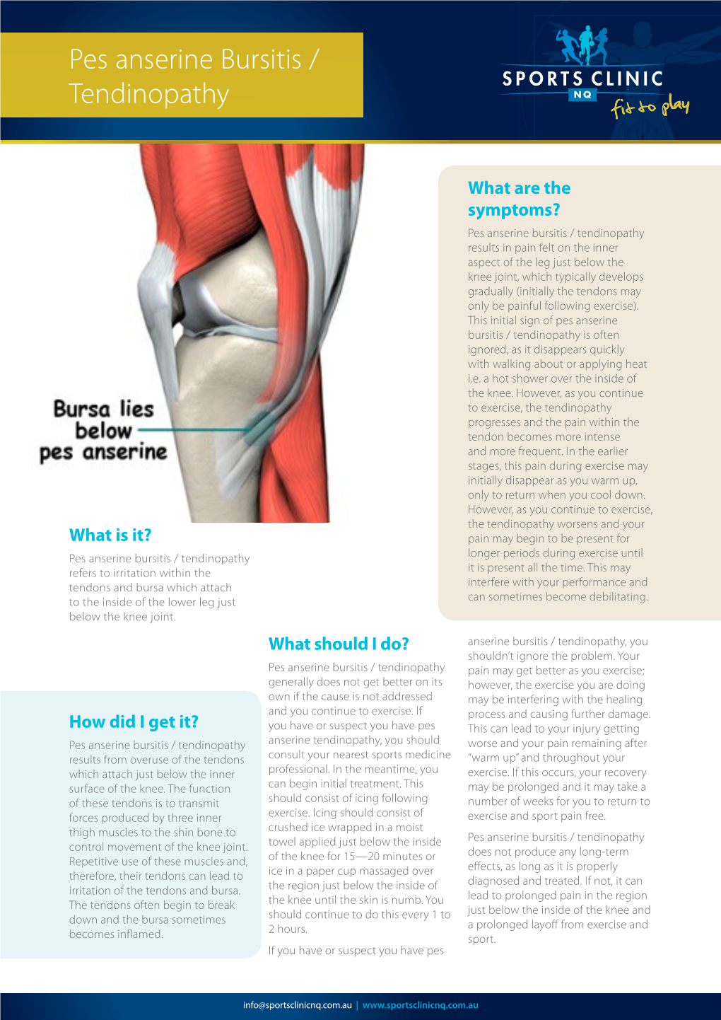 Pes Anserine Bursitis / Tendinopathy