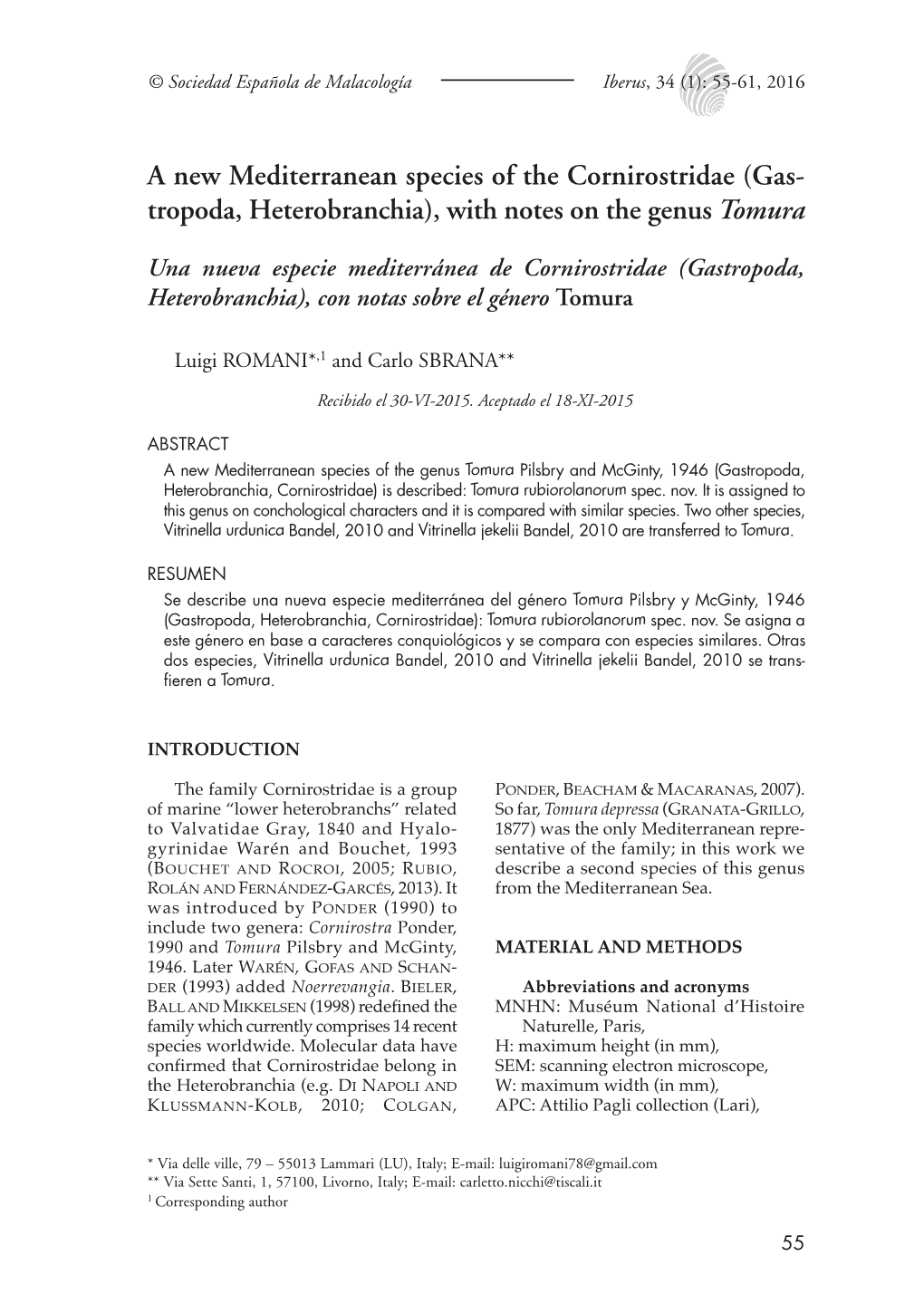 A New Mediterranean Species of the Cornirostridae (Gas- Tropoda, Heterobranchia), with Notes on the Genus Tomura