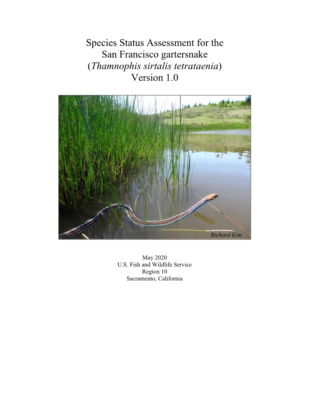 Species Status Assessment for the San Francisco Gartersnake (Thamnophis Sirtalis Tetrataenia) Version 1.0