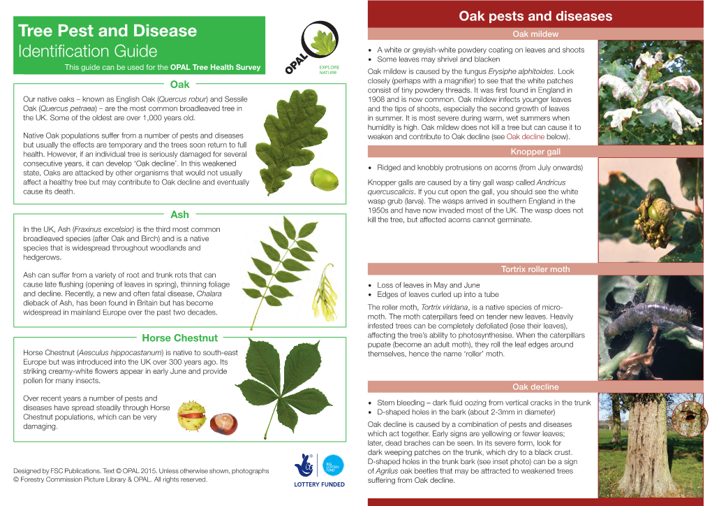 Tree Pest and Disease Identification Guide