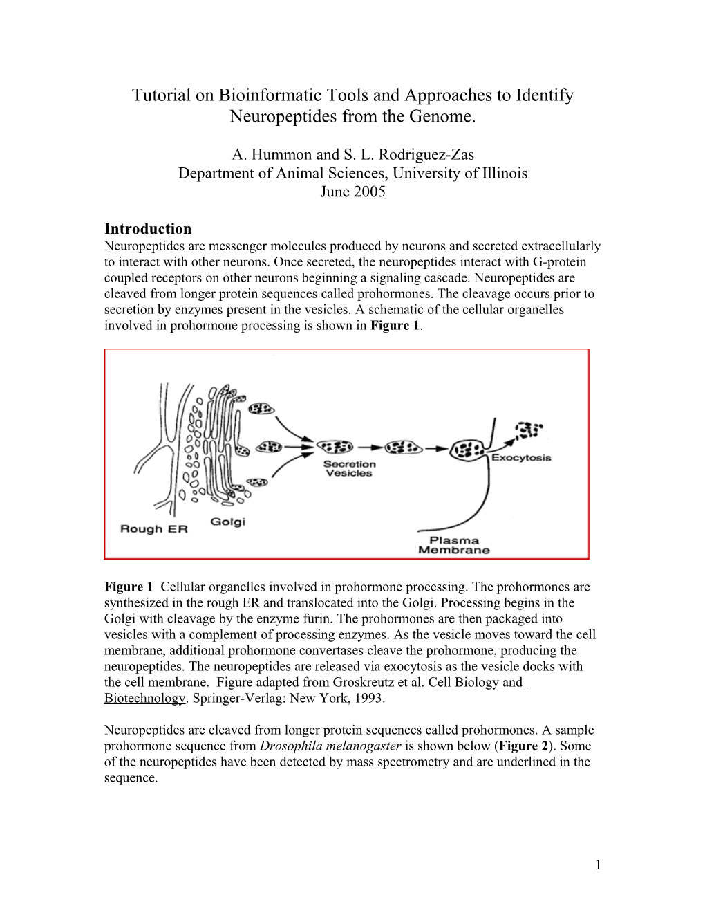 Tutorial on Bioinformatic Tools and Approaches to Identify Neuropeptides from the Genome