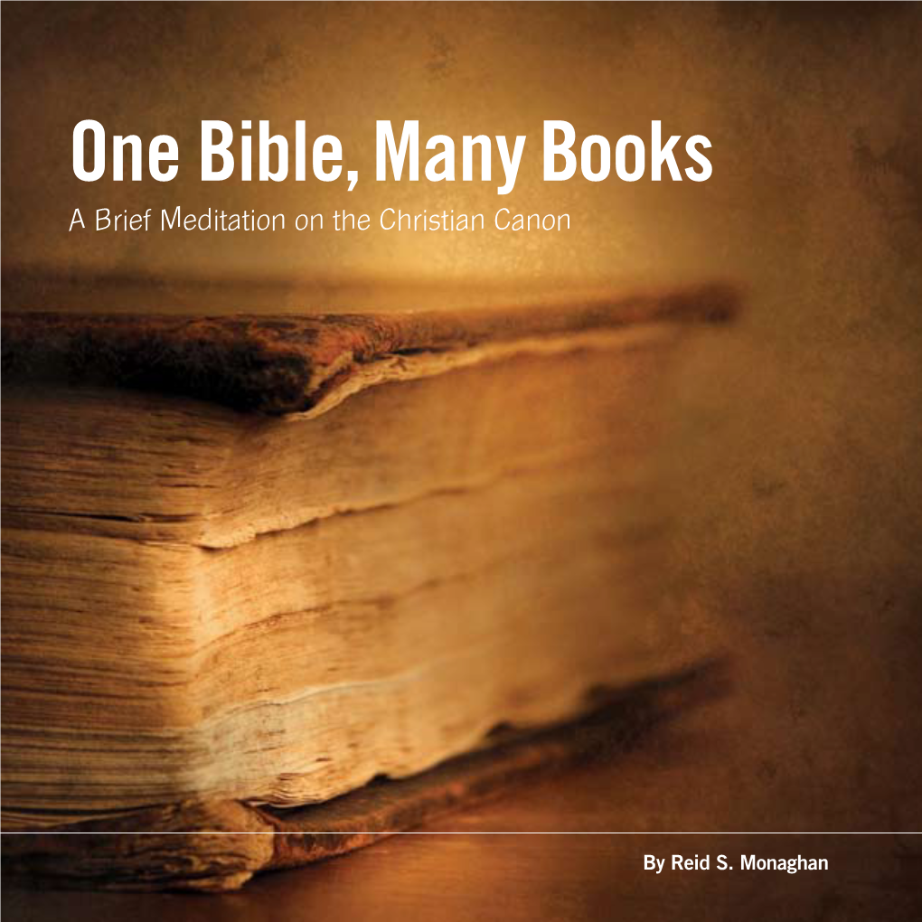 One Bible, Many Books a Brief Meditation on the Christian Canon