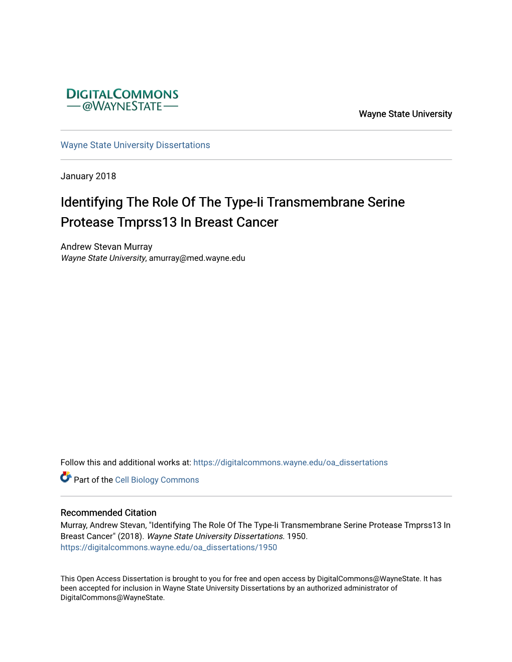 Identifying the Role of the Type-Ii Transmembrane Serine Protease Tmprss13 in Breast Cancer