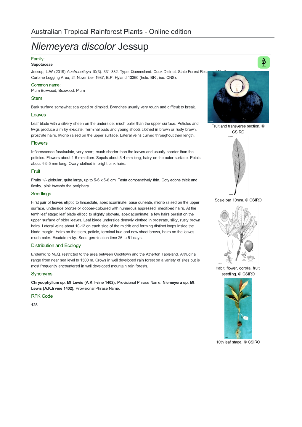 Niemeyera Discolor Jessup Family: Sapotaceae Jessup, L.W (2019) Austrobaileya 10(3): 331-332