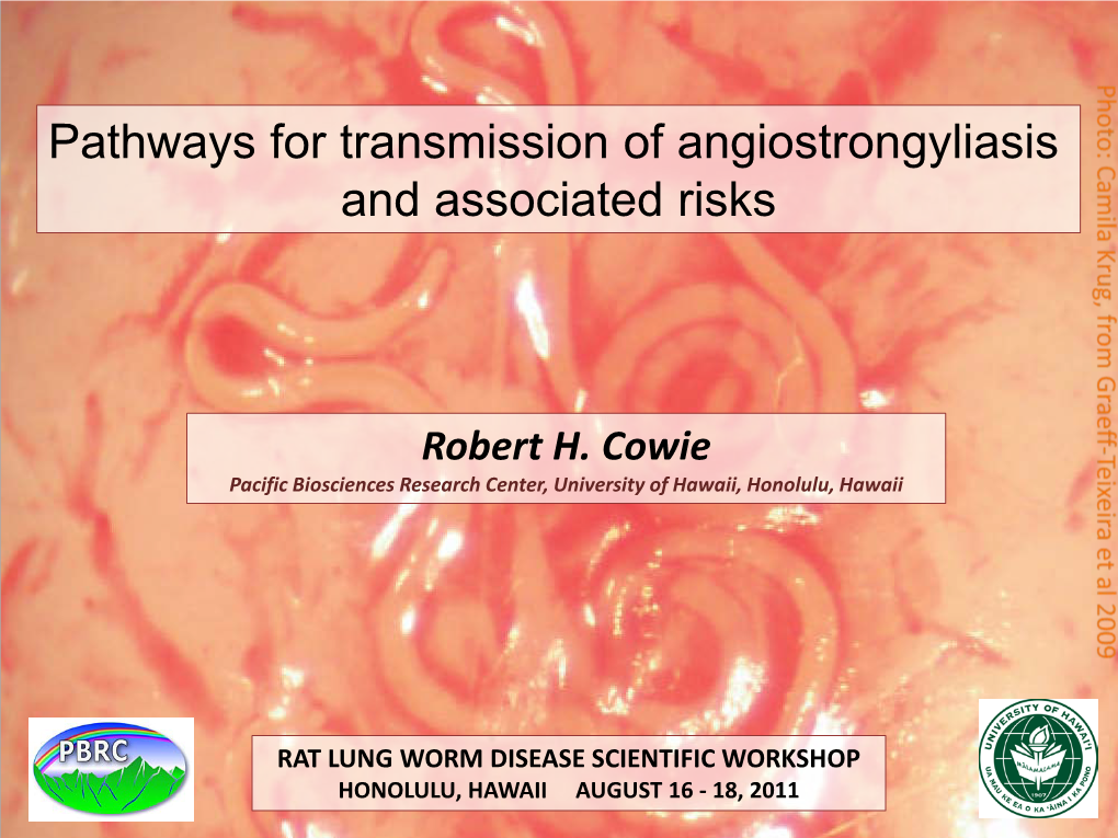 Angiostrongylus Cantonensis Necessary to Cause Disease in Humans Is Not Known