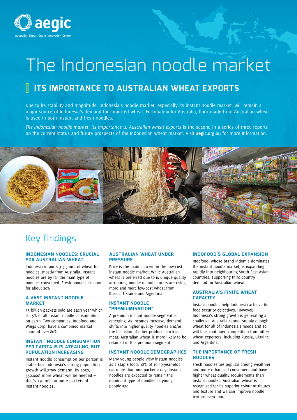 The Indonesian Noodle Market