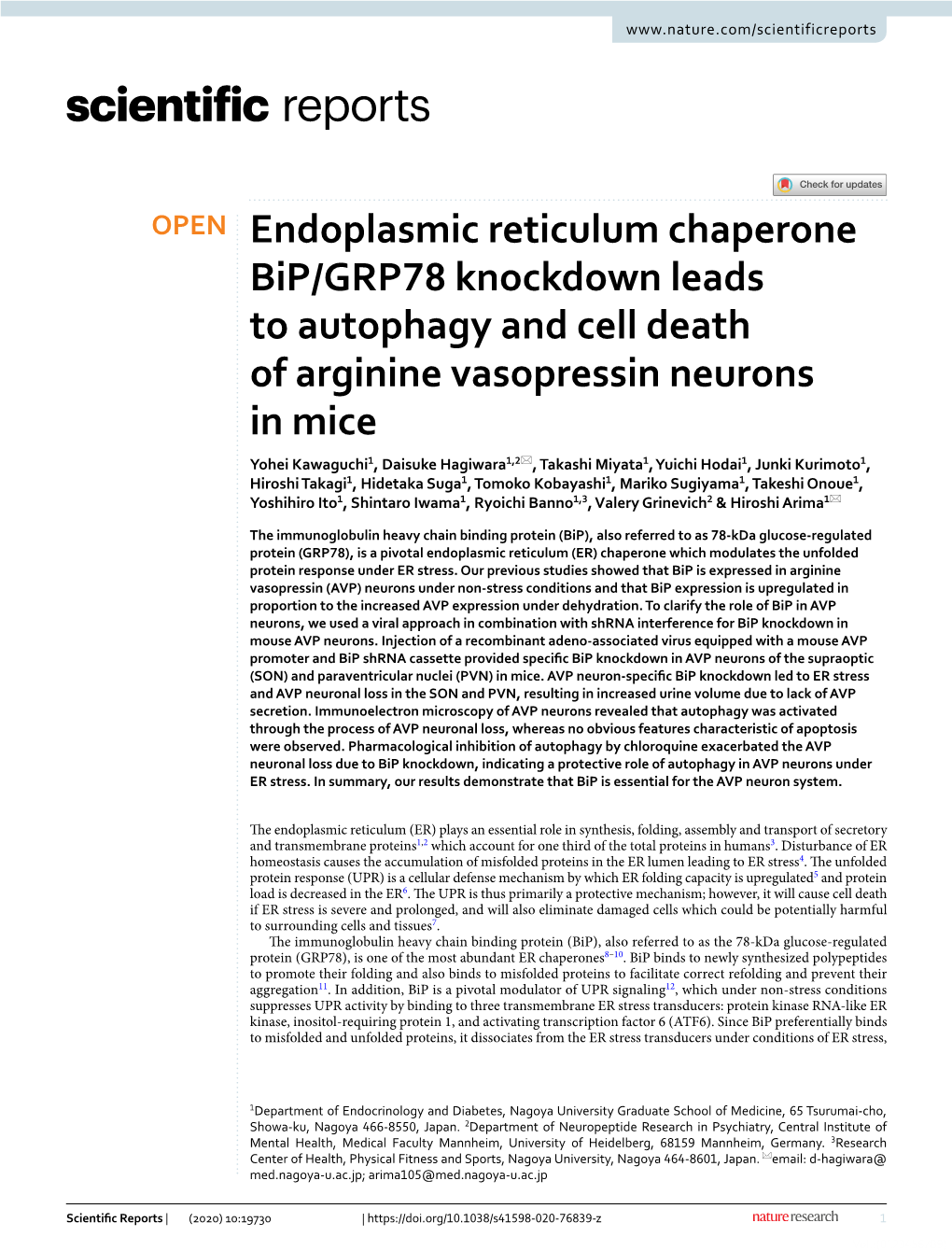 Endoplasmic Reticulum Chaperone Bip/GRP78 Knockdown Leads To