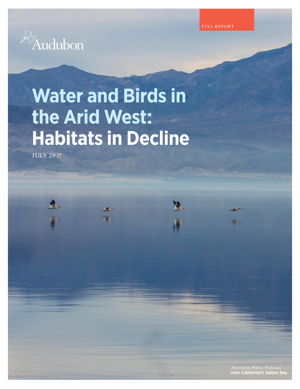 Water and Birds in the Arid West: Habitats in Decline
