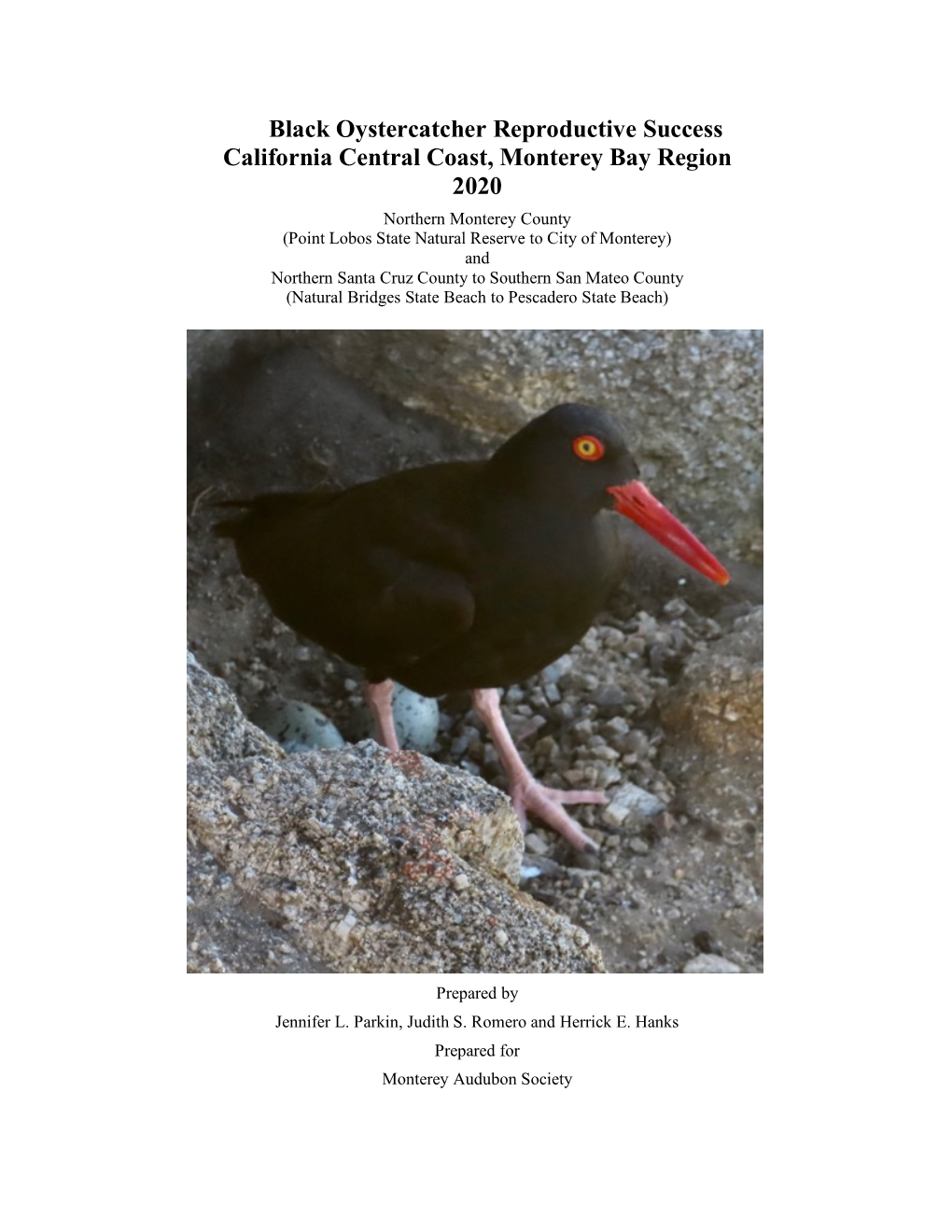 Black Oystercatcher Reproductive Success California Central Coast, Monterey Bay Region 2020