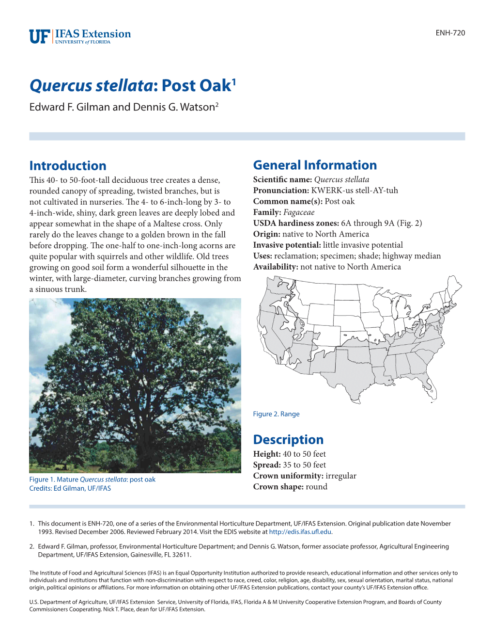 Quercus Stellata: Post Oak1 Edward F