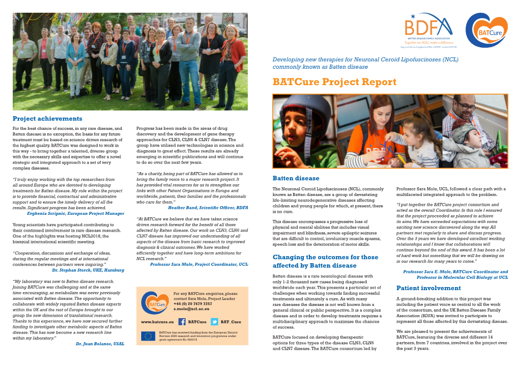 Batcure Project Report