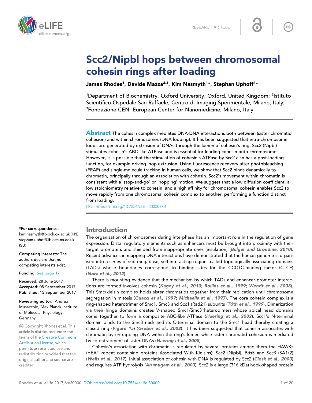 Scc2/Nipbl Hops Between Chromosomal Cohesin Rings After Loading James Rhodes1, Davide Mazza2,3, Kim Nasmyth1*, Stephan Uphoff1*