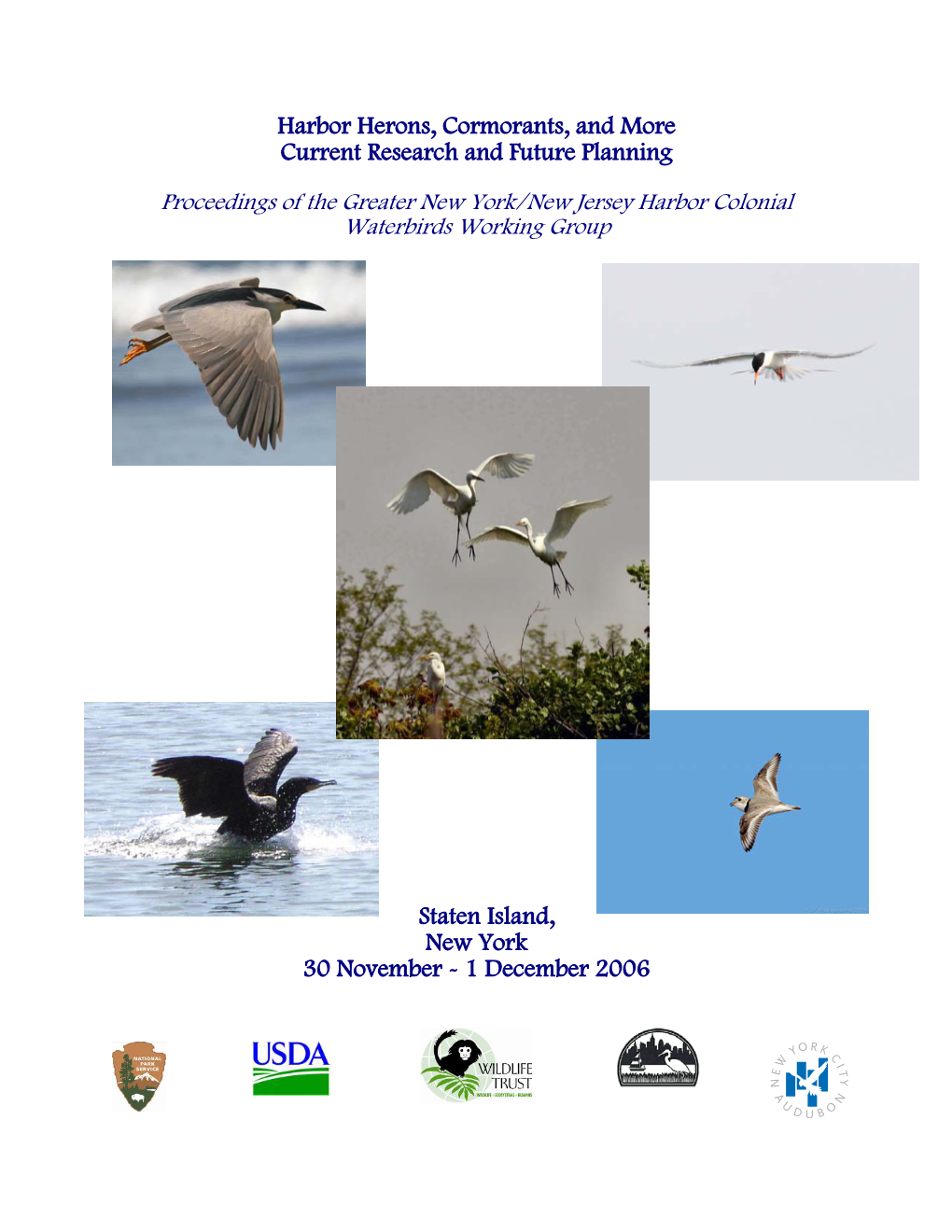 Harbor Herons, Cormorants, and More Current Research and Future Planning