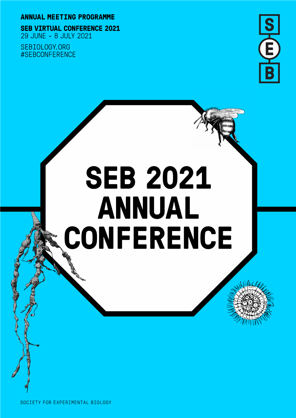 Seb 2021 Annual Conference