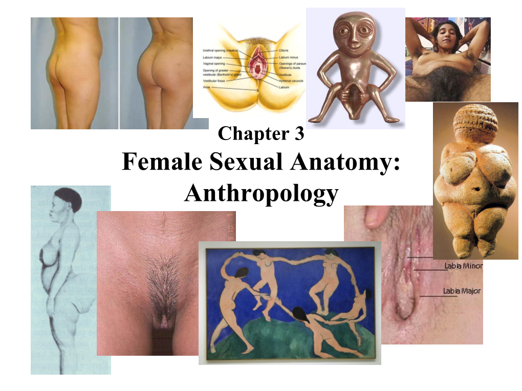 Female Sexual Anatomy: Anthropology Goddesses: Honoring the Sacred Feminine Creative Aspect