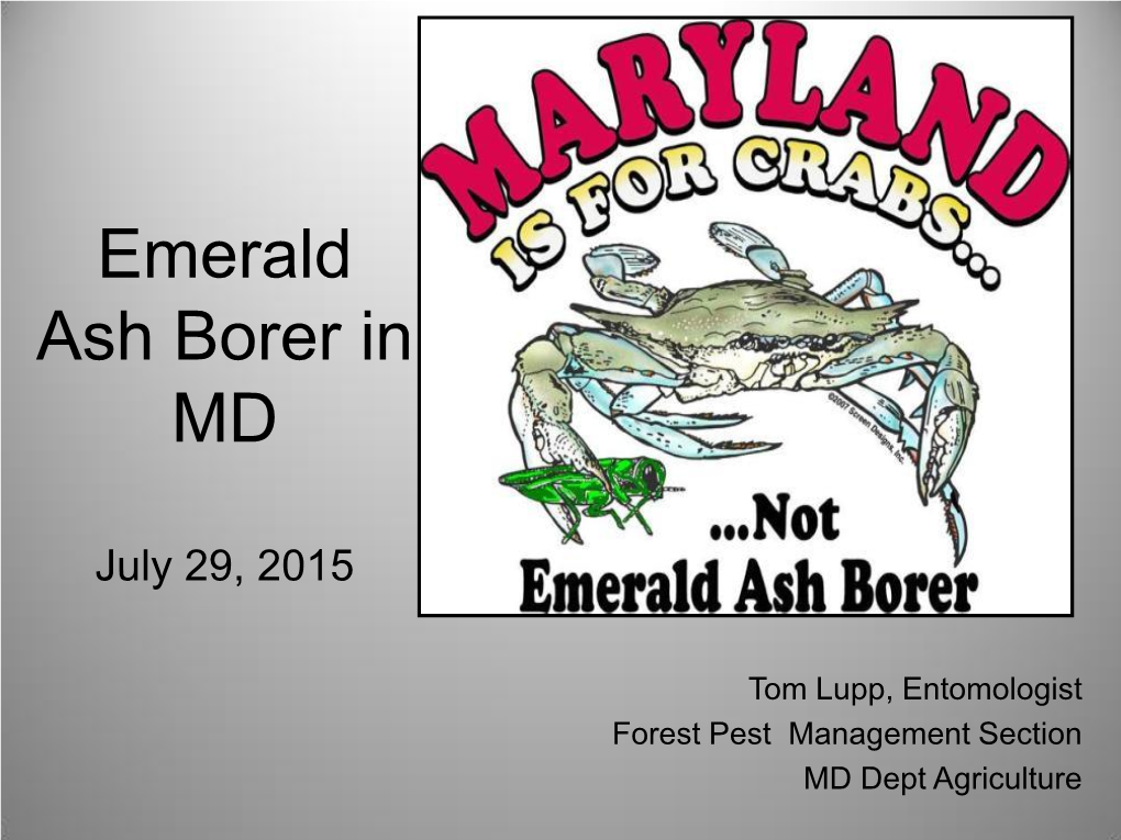 Kicking Ash Emerald Ash Borer in MD March 26, 2015