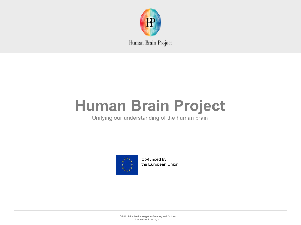 Presentation of the Human Brain Project