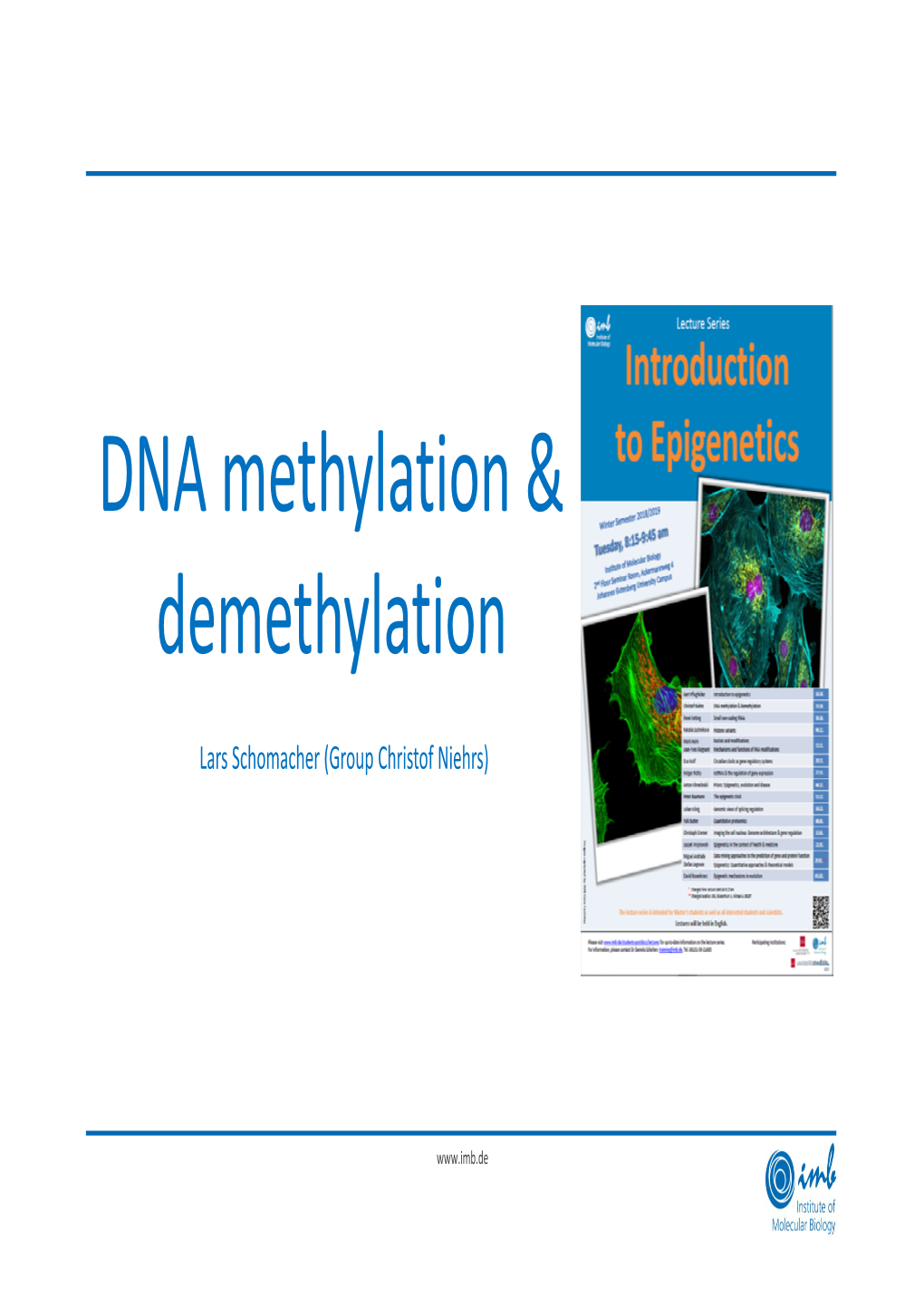 DNA Methylation & Demethylation