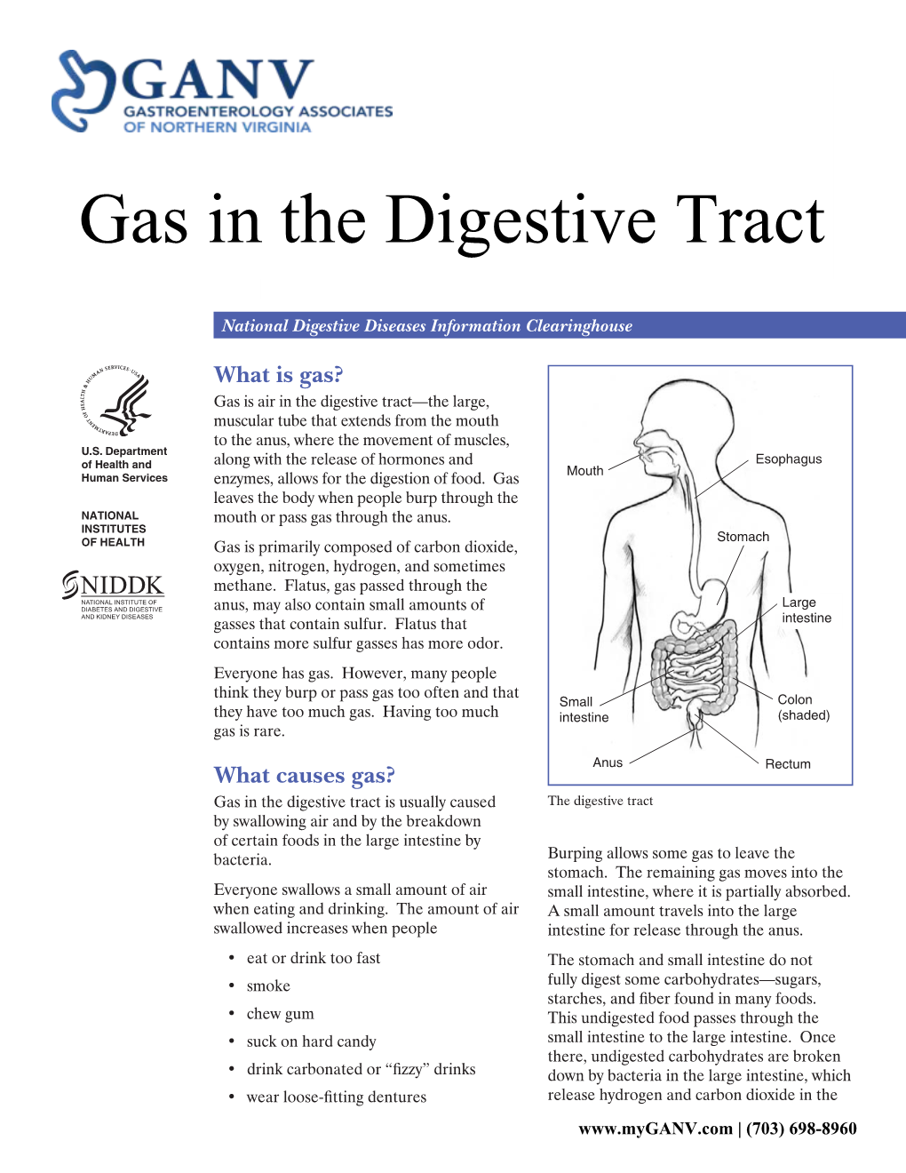 Gas in the Digestive Tract Is Usually Caused the Digestive Tract by Swallowing Air and by the Breakdown of Certain Foods in the Large Intestine by Bacteria