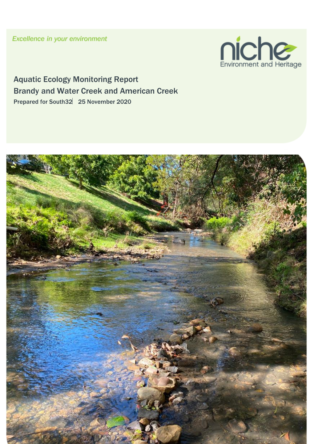 Aquatic Ecology Monitoring Report Brandy and Water Creek and American Creek Prepared for South32 25 November 2020