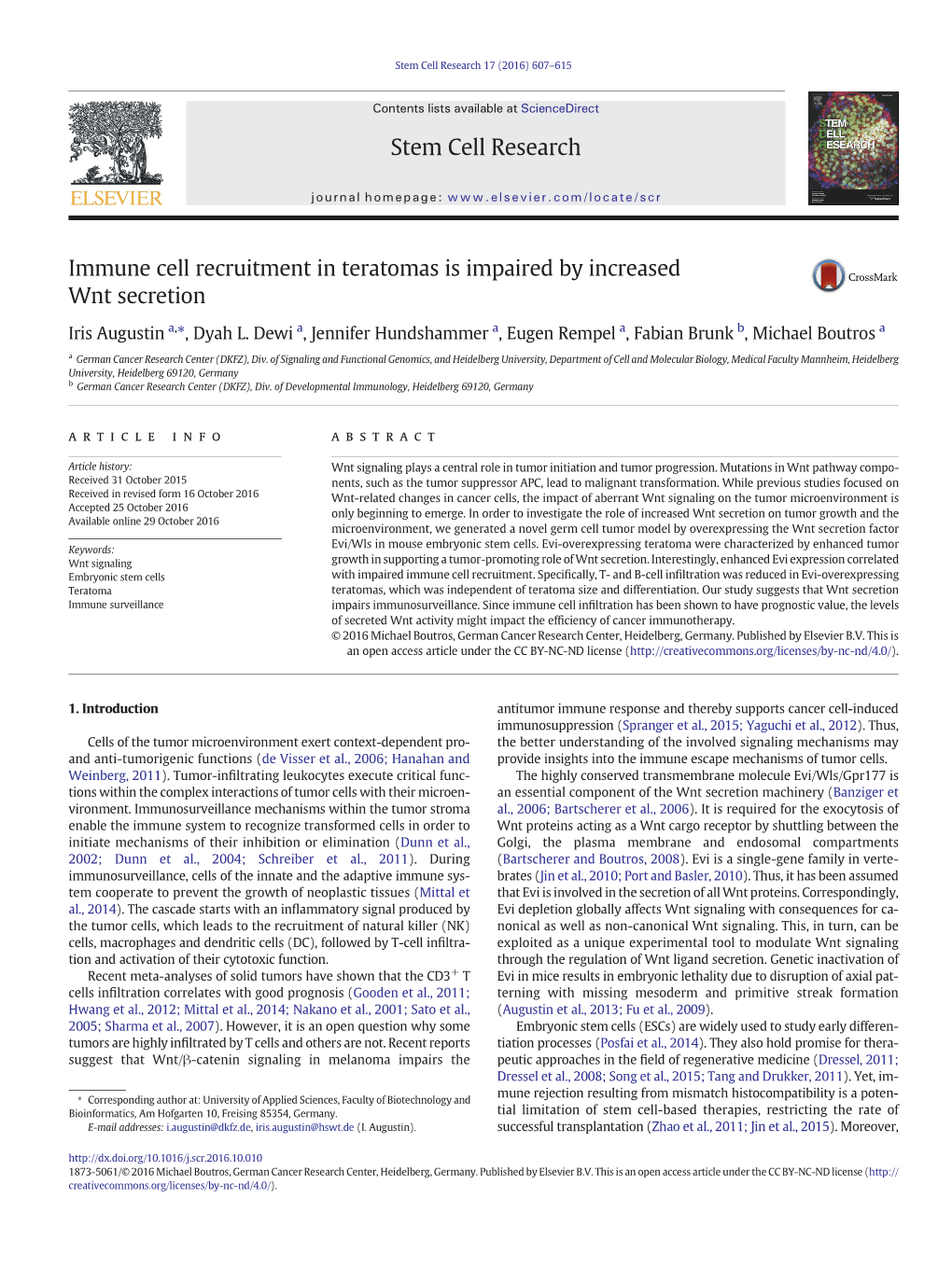 Immune Cell Recruitment in Teratomas Is Impaired by Increased Wnt Secretion