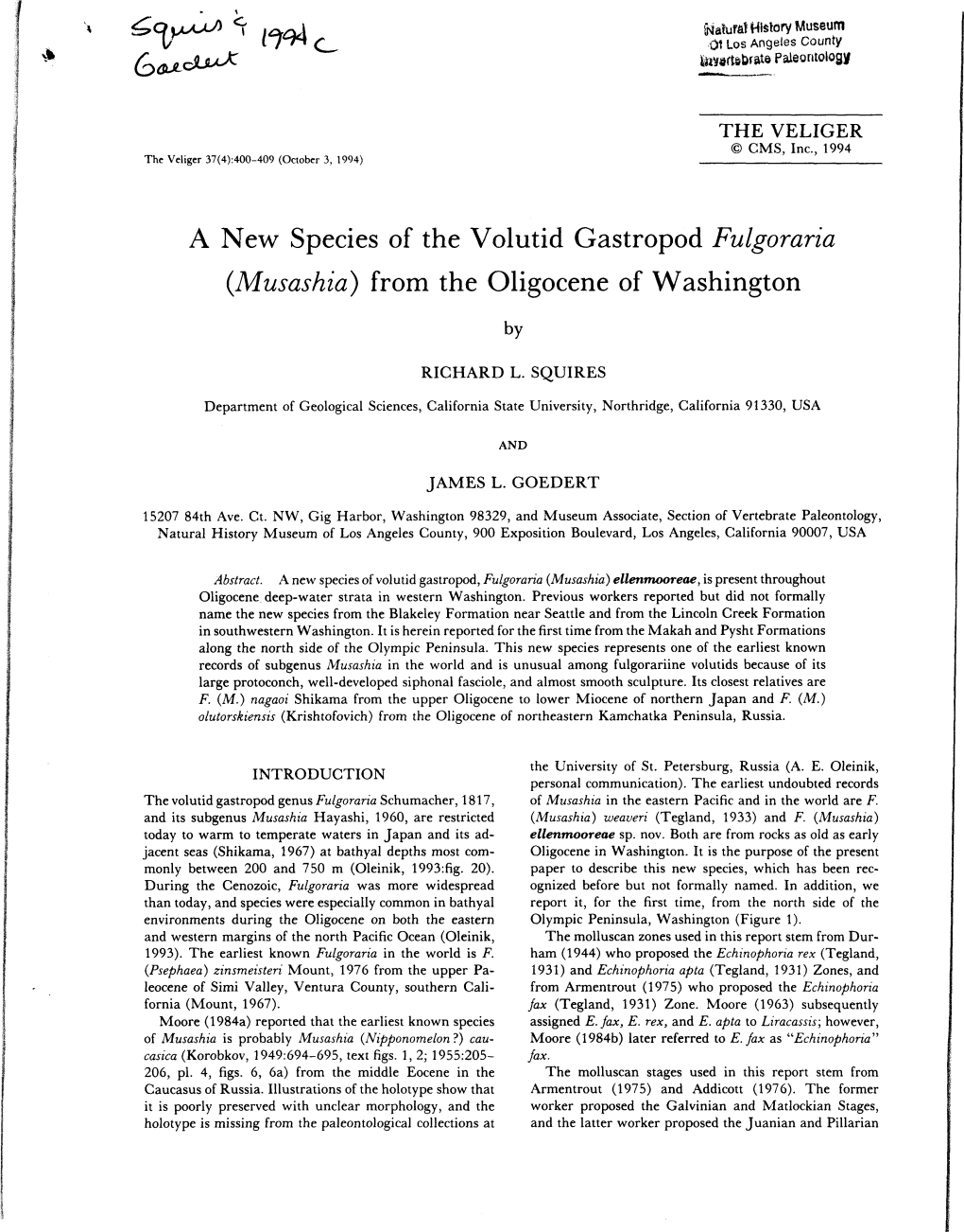 A New Species of the Volutid Gastropod Fulgoraria (Musashia) from the Oligocene of Washington