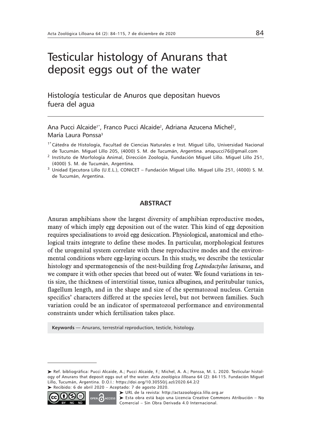 Testicular Histology of Anurans That Deposit Eggs out of the Water