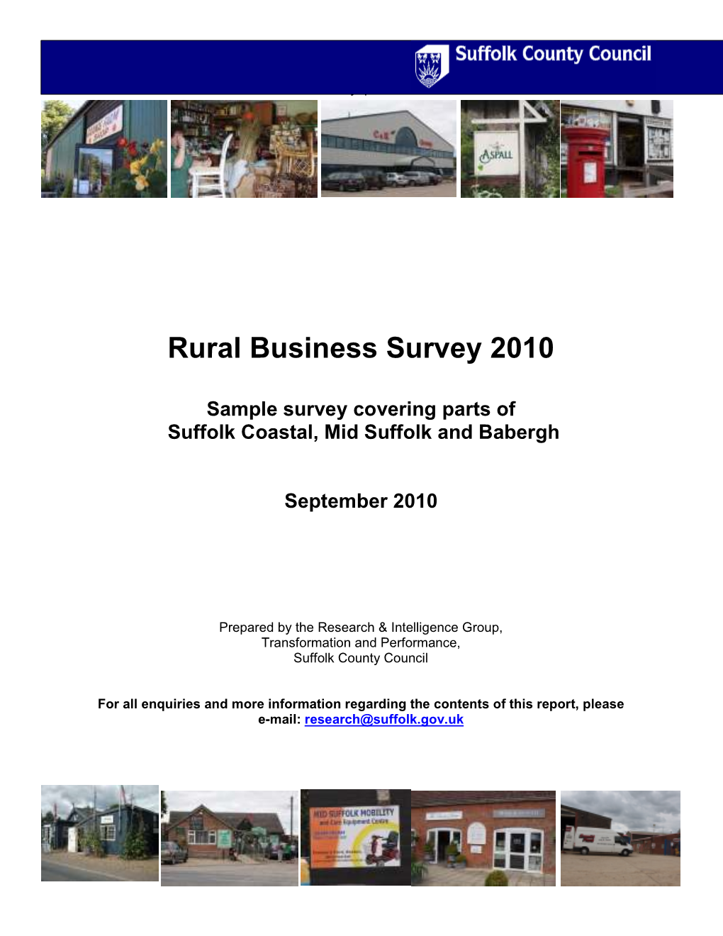 Rural Business Survey 2010