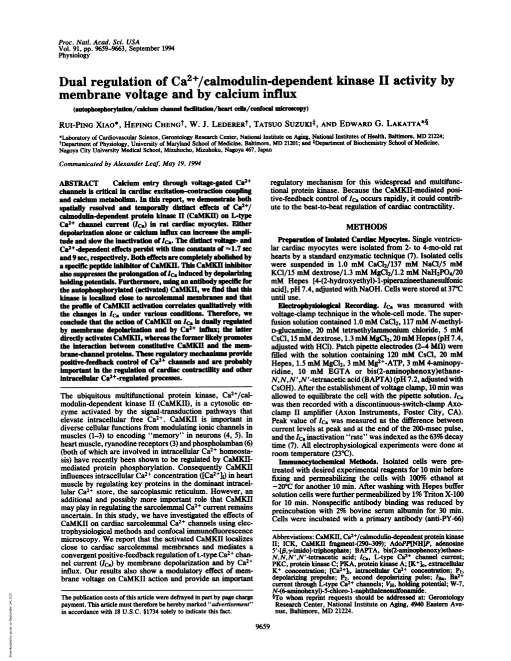 Dual Regulation of Ca2+/Calmodulin-Dependent Kinase