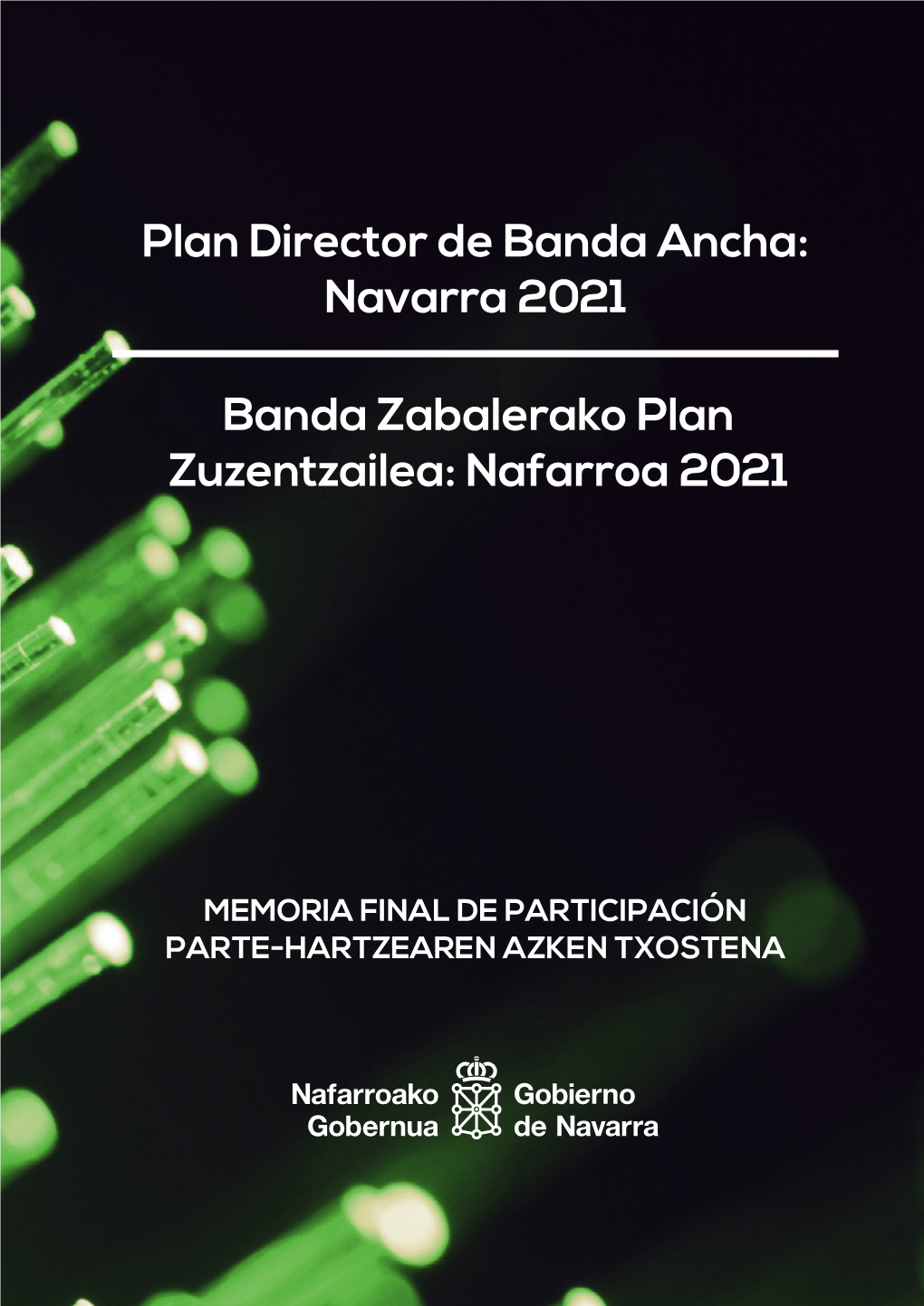 Nafarroa 2021 Plan Director De Banda Ancha
