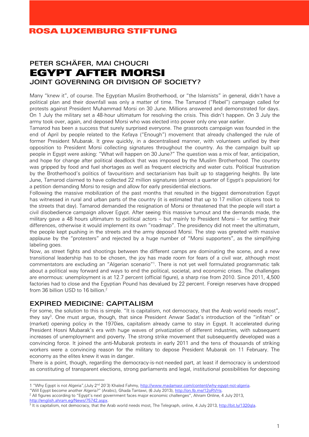 Egypt After Morsi Joint Governing Or Division of Society?