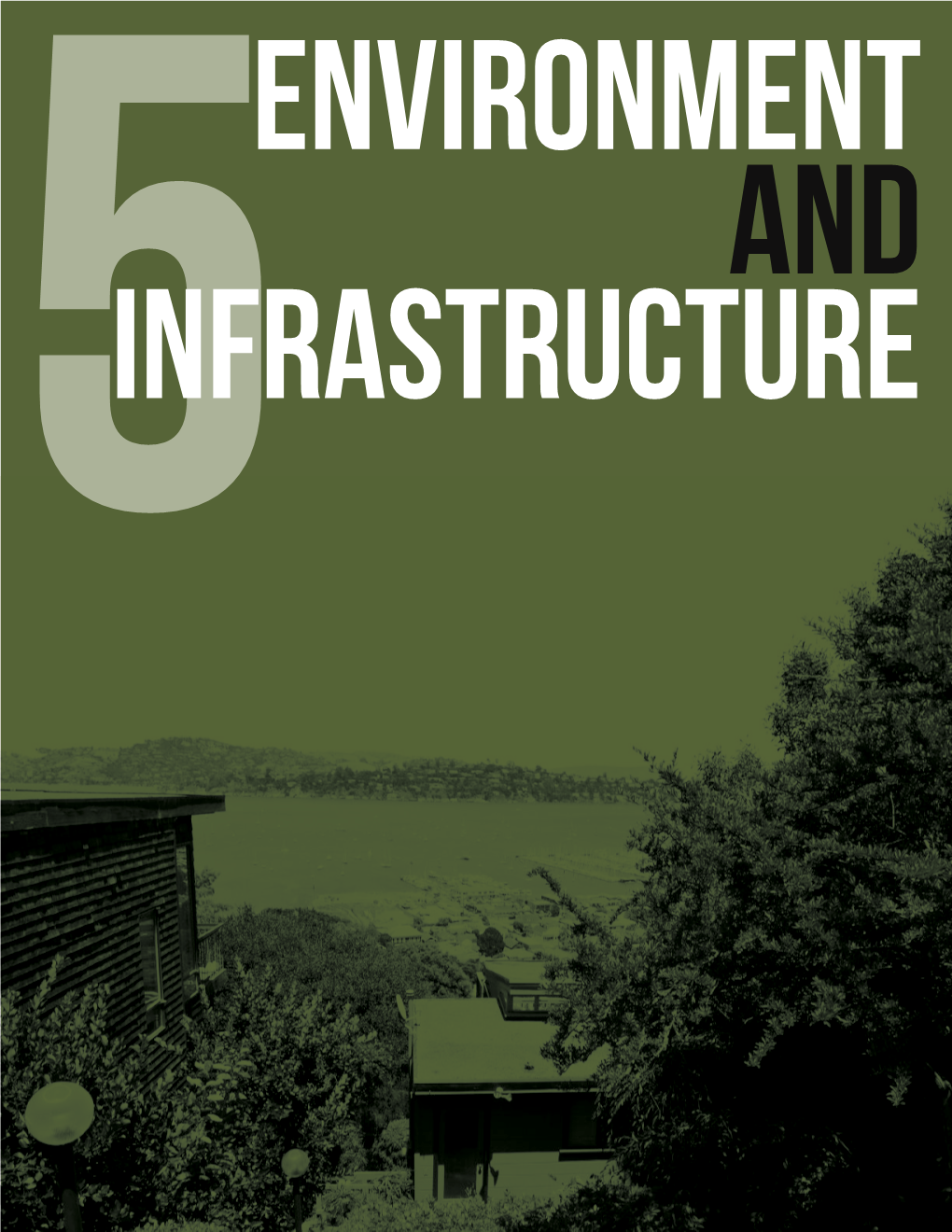 Environment and Infrastructure Conditions Executive Summary
