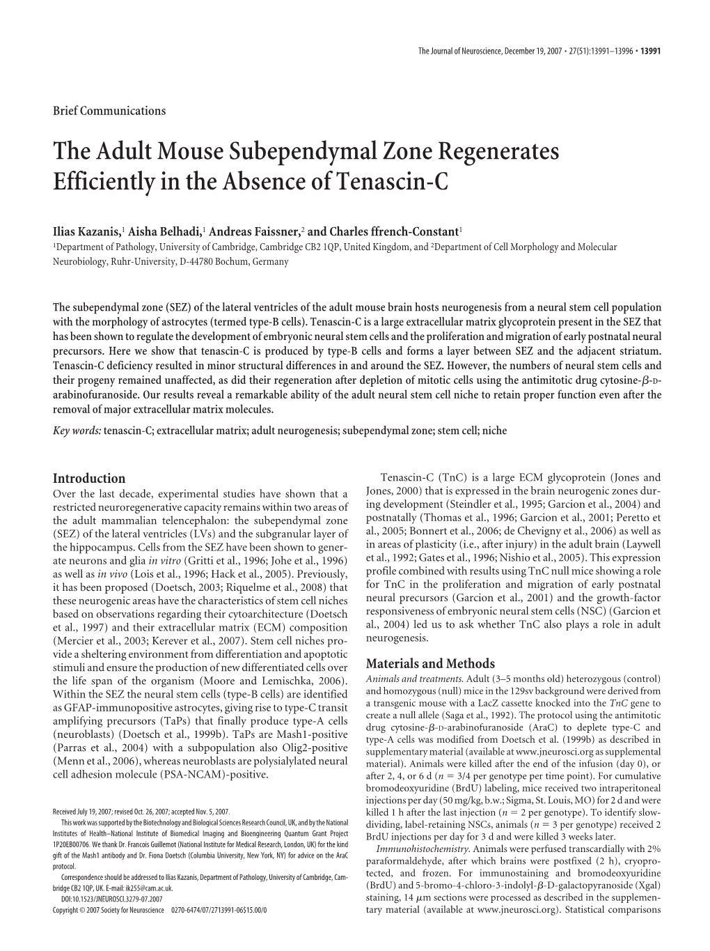 The Adult Mouse Subependymal Zone Regenerates Efficiently in the Absence of Tenascin-C